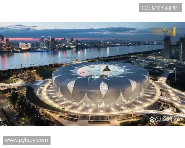 杭州篮球队实力揭秘：从青训到职业联赛的全景分析与展望