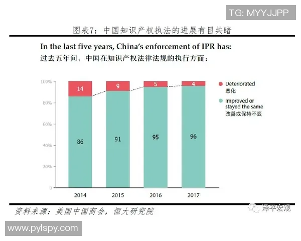 杭州飞盘队速度分析与表现评估探讨
