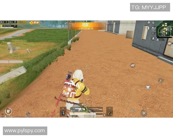 深度对话周磊探讨和平精英背后的成长与人生哲学