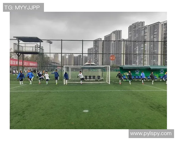 武汉足球队意识的深度分析与未来发展展望 武汉足球队意识的深度分析与未来发展展望