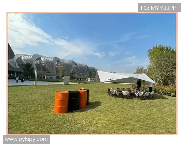 飞盘新手必看:从零开始的游戏意识与技巧全面指南 飞盘新手必看:从零开始的游戏意识与技巧全面指南